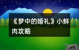 《夢中的婚禮》小鮮肉攻略