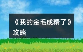 《我的金毛成精了》攻略