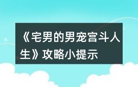 《宅男的男寵宮斗人生》攻略小提示
