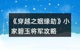 《穿越之姻緣劫》小家碧玉將軍攻略