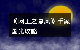 《網王之夏風》手冢國光攻略