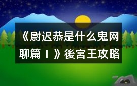 《尉遲恭是什么鬼：網聊篇Ⅰ》後宮王攻略