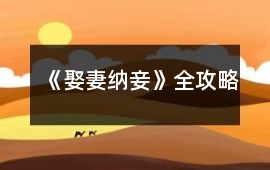 《娶妻納妾》全攻略