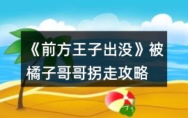 《前方王子出沒》被橘子哥哥拐走攻略