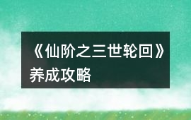 《仙階之三世輪回》養(yǎng)成攻略