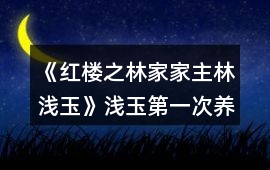 《紅樓之林家家主林淺玉》淺玉第一次養成攻略