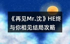 《再見Mr.沈》HE終與你相見結局攻略