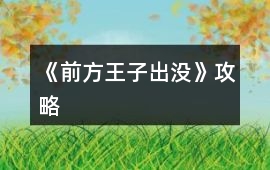 《前方王子出沒》攻略