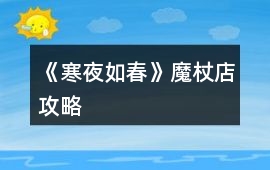 《寒夜如春》魔杖店攻略