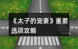 《太子的寵妻》重要選項攻略