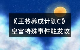 《王爺養(yǎng)成計劃C》皇宮特殊事件觸發(fā)攻略