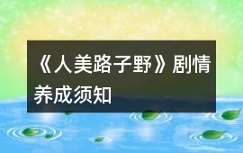 《人美路子野》劇情養(yǎng)成須知