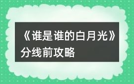 《誰是誰的白月光》分線前攻略