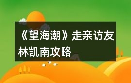 《望海潮》走親訪友林凱南攻略
