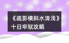 《疏影橫斜水清淺》十日牢獄攻略