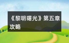 《黎明曙光》第五章攻略