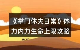 《掌門休夫日?！敷w力內力生命上限攻略