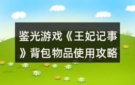 鑒光游戲《王妃記事》背包物品使用攻略