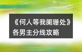 《何人等我闌珊處》各男主分線攻略