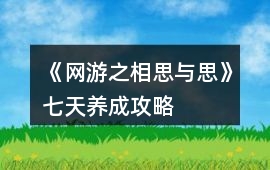《網游之相思與思》七天養成攻略