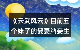 《云武風云》目前五個妹子的娶妻納妾生子成本計算