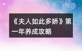 《夫人如此多嬌》第一年養成攻略