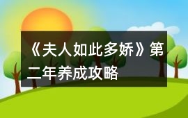 《夫人如此多嬌》第二年養成攻略