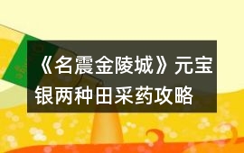 《名震金陵城》元寶銀兩種田采藥攻略