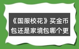 《國服校花》買金幣包還是家境包哪個更劃算
