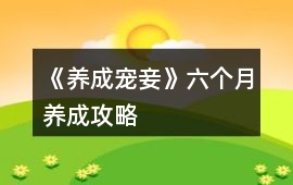 《養(yǎng)成寵妾》六個月養(yǎng)成攻略