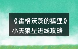 《霍格沃茨的狐貍》小天狼星進線攻略
