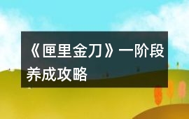《匣里金刀》一階段養成攻略