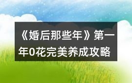 《婚后那些年》第一年0花完美養(yǎng)成攻略