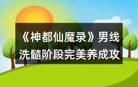 《神都仙魔錄》男線洗髓階段完美養(yǎng)成攻略