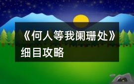 《何人等我闌珊處》細目攻略