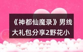 《神都仙魔錄》男線大禮包分享2野花小金庫10花大金庫攻略