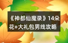 《神都仙魔錄》14朵花+大禮包男線攻略