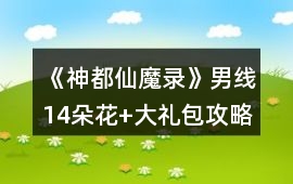 《神都仙魔錄》男線14朵花+大禮包攻略