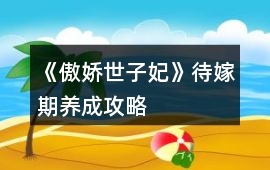 《傲嬌世子妃》待嫁期養成攻略