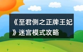 《至君側之正牌王妃》迷宮模式攻略