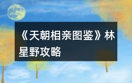 《天朝相親圖鑒》林星野攻略