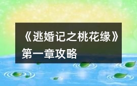 《逃婚記之桃花緣》第一章攻略