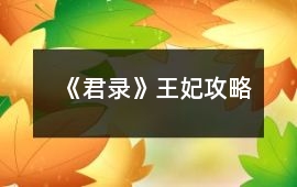 《君錄》王妃攻略