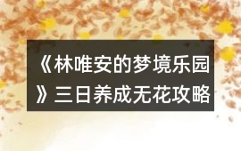 《林唯安的夢境樂園》三日養成無花攻略