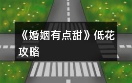 《婚姻有點甜》低花攻略