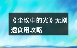 《塵埃中的光》無劇透食用攻略