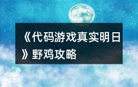 《代碼游戲真實明日》野雞攻略