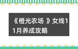《橙光農(nóng)場 》女線11月養(yǎng)成攻略