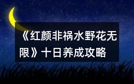 《紅顏非禍水野花無限》十日養成攻略