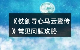 《仗劍尋心馬云鷺傳》常見問題攻略